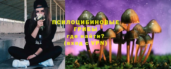герыч Куйбышев