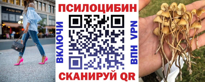 Галлюциногенные грибы Psilocybe  Нестеров 